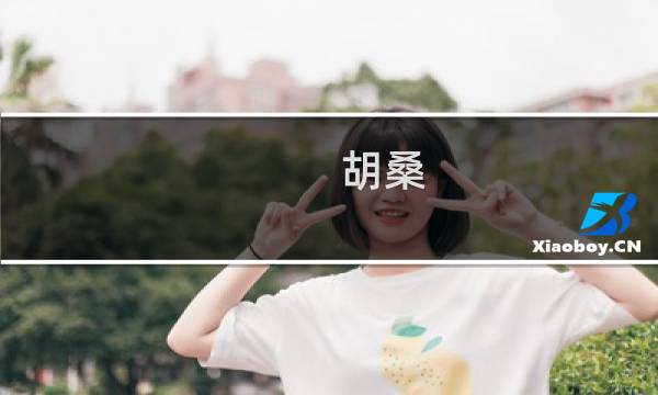 胡桑（淅川县特产）