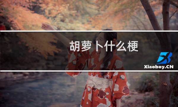 胡萝卜什么梗