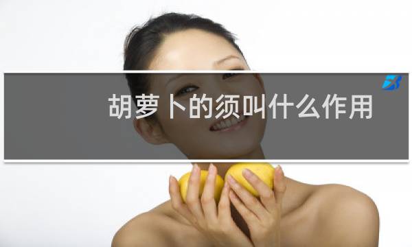 胡萝卜的须叫什么作用是什么（胡萝卜须什么意思）图片