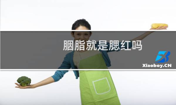 胭脂就是腮红吗