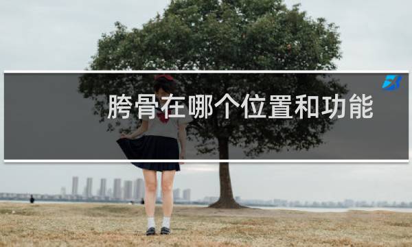 胯骨在哪个位置和功能（胯骨在哪）图片