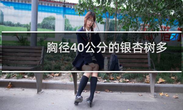 胸径40公分的银杏树多少钱
