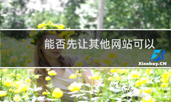 能否先让其他网站可以访问