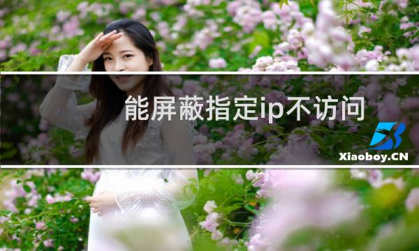 能屏蔽指定ip不访问我的网站吗