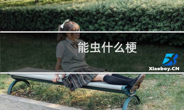 能虫什么梗