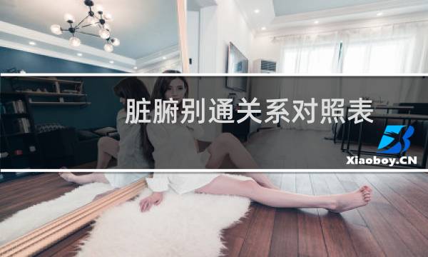 脏腑别通关系对照表（脏腑）图片