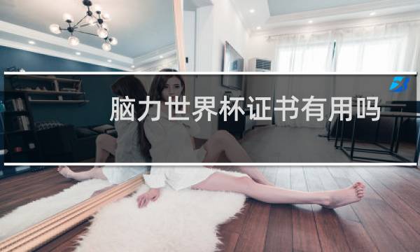 脑力世界杯证书有用吗
