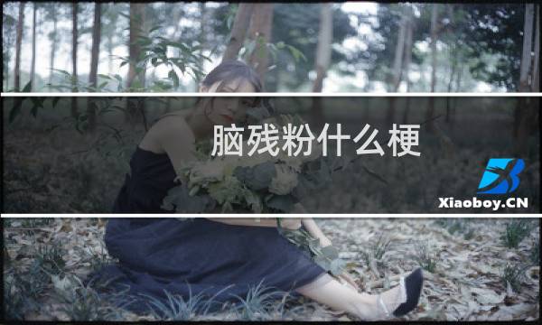 脑残粉什么梗