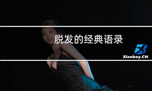 脱发的经典语录