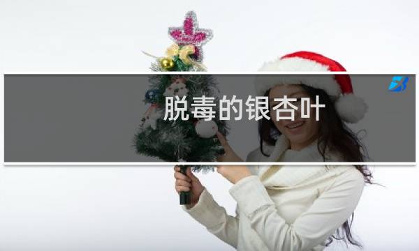 脱毒的银杏叶