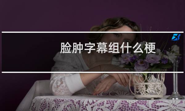 脸肿字幕组什么梗