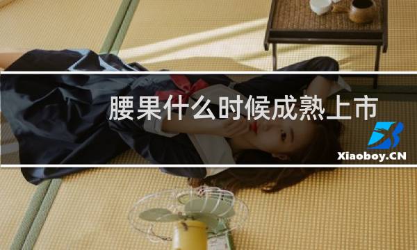 腰果什么时候成熟上市（腰果价格多少钱一斤）图片