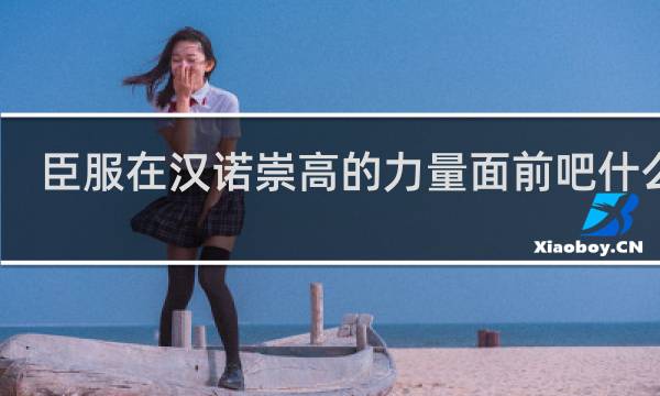 臣服在汉诺崇高的力量面前吧什么梗