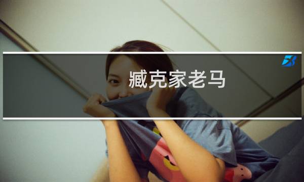 臧克家老马