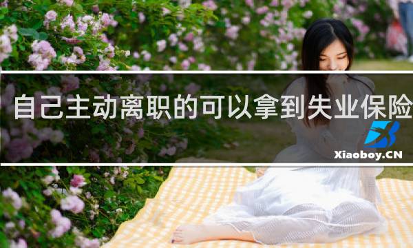 自己主动离职的可以拿到失业保险金吗