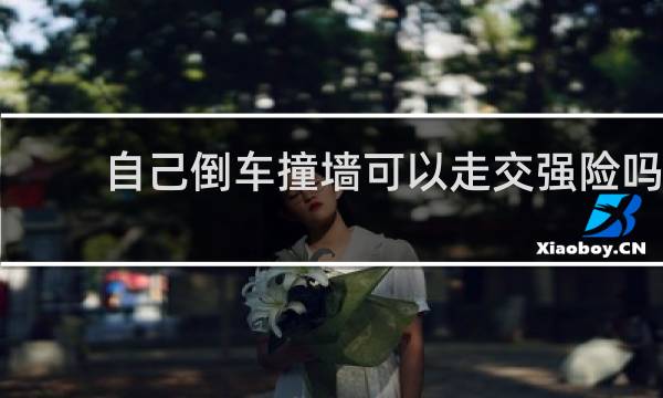 自己倒车撞墙可以走交强险吗