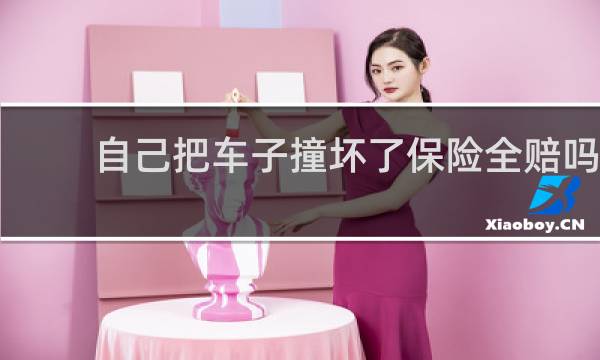 自己把车子撞坏了保险全赔吗