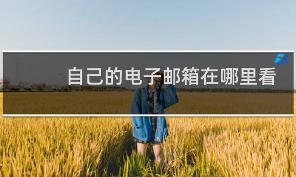 自己的电子邮箱在哪里看
