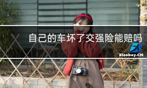 自己的车坏了交强险能赔吗