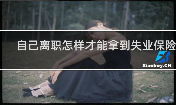 自己离职怎样才能拿到失业保险呢图片