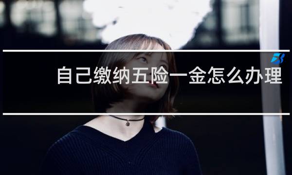 自己缴纳五险一金怎么办理