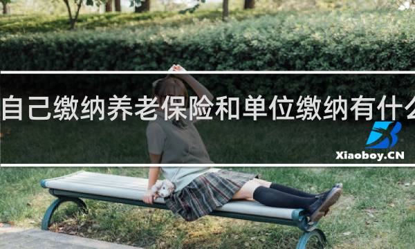 自己缴纳养老保险和单位缴纳有什么区别