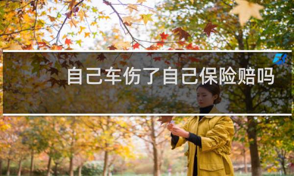 自己车伤了自己保险赔吗图片