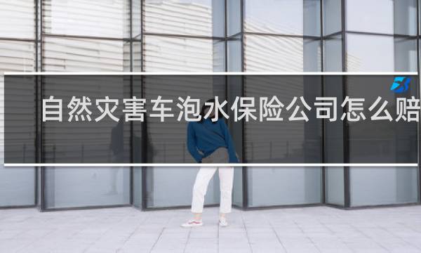 自然灾害车泡水保险公司怎么赔偿