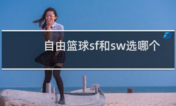 自由篮球sf和sw选哪个