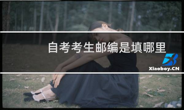 自考考生邮编是填哪里