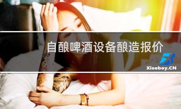 自酿啤酒设备酿造报价图片