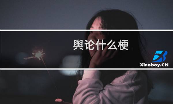 舆论什么梗