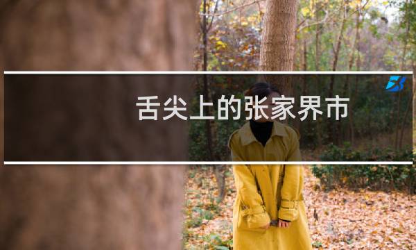 舌尖上的张家界市（湖南省张家界市小吃美食介绍）图片