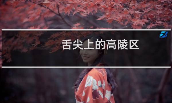 舌尖上的高陵区（西安高陵区小吃美食介绍）图片