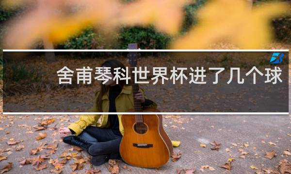 舍甫琴科世界杯进了几个球