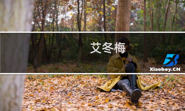 艾冬梅