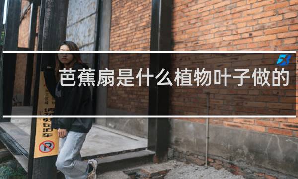 芭蕉扇是什么植物叶子做的