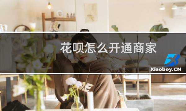 花呗怎么开通商家（花呗怎么开通）