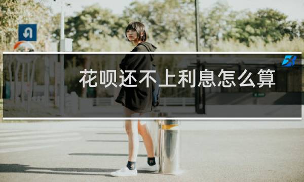 花呗还不上利息怎么算