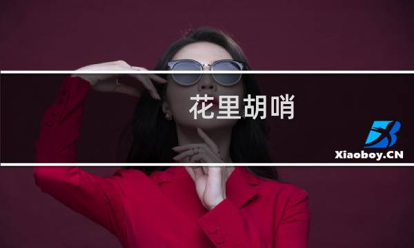 花里胡哨 花里胡哨什么梗