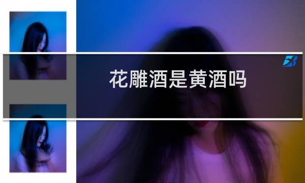 花雕酒是黄酒吗图片