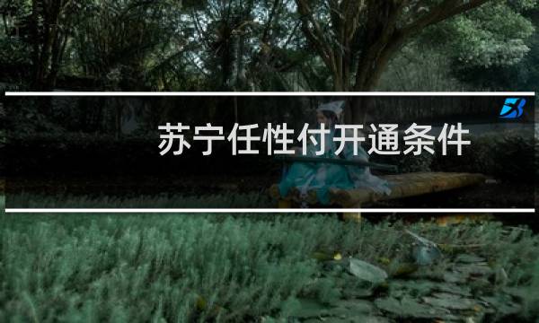 苏宁任性付开通条件（苏宁任性付开通条件）
