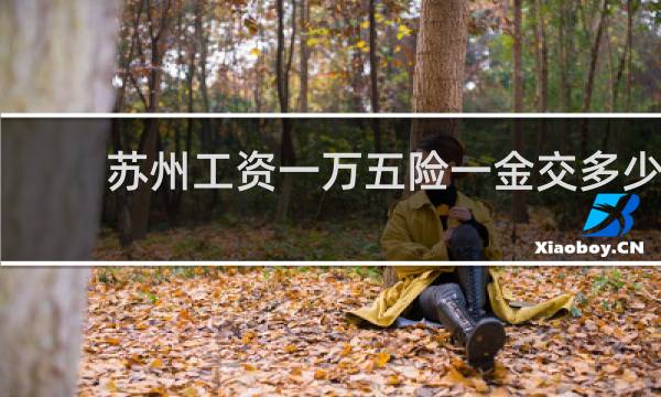 苏州工资一万五险一金交多少