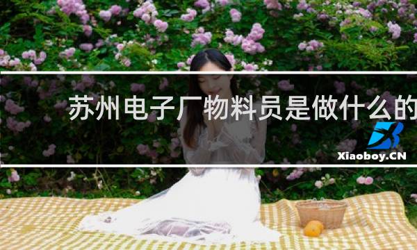 苏州电子厂物料员是做什么的