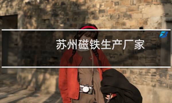 苏州磁铁生产厂家