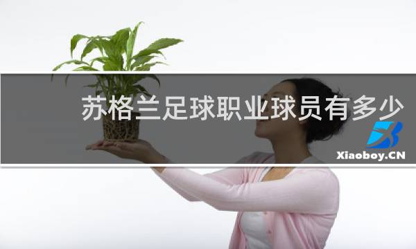 苏格兰足球职业球员有多少