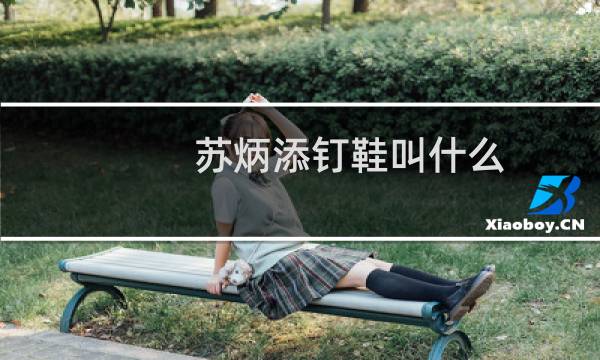 苏炳添钉鞋叫什么
