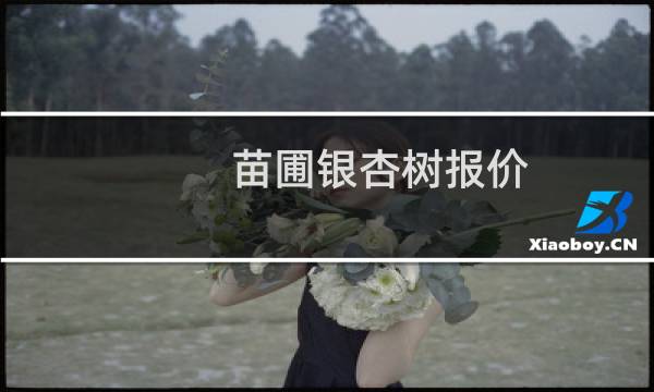 苗圃银杏树报价