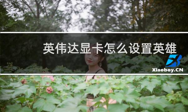 英伟达显卡怎么设置英雄联盟图片