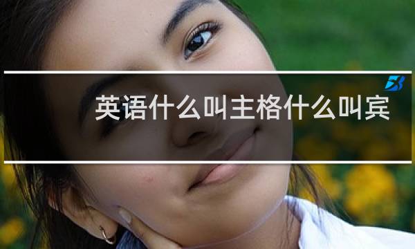 英语什么叫主格什么叫宾格图片